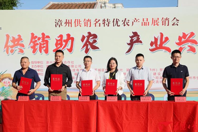粮食收购市场动态：稳健增长与挑战并存