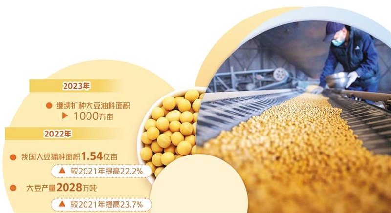 粮食收购市场的新趋势与挑战