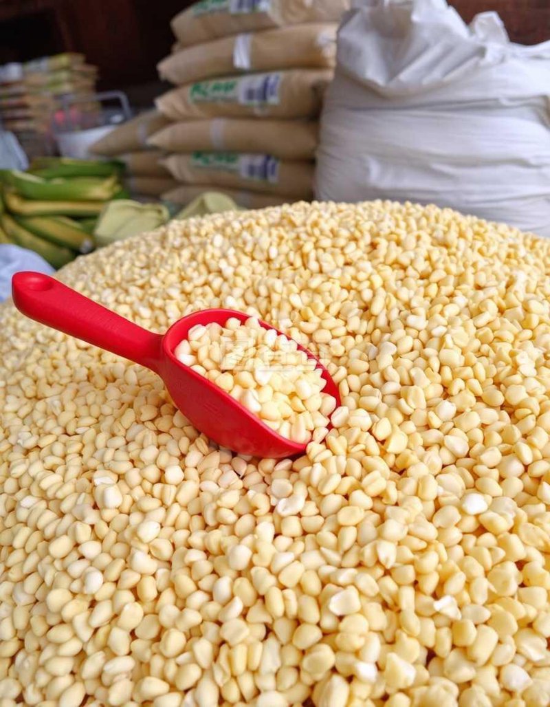 粮食收购市场动态：稳健增长与挑战并存