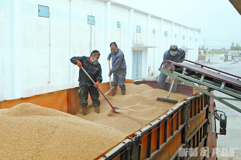 粮食收购