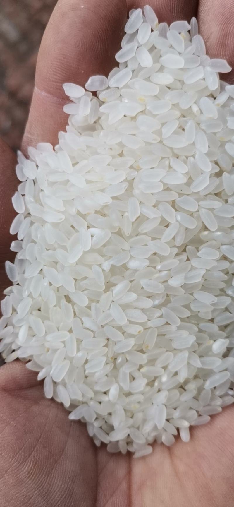 郴州农产品批发——连接城乡的绿色桥梁
