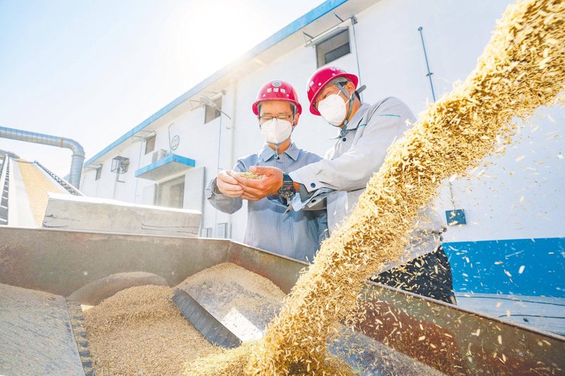 如何挑选优质玉米批发渠道