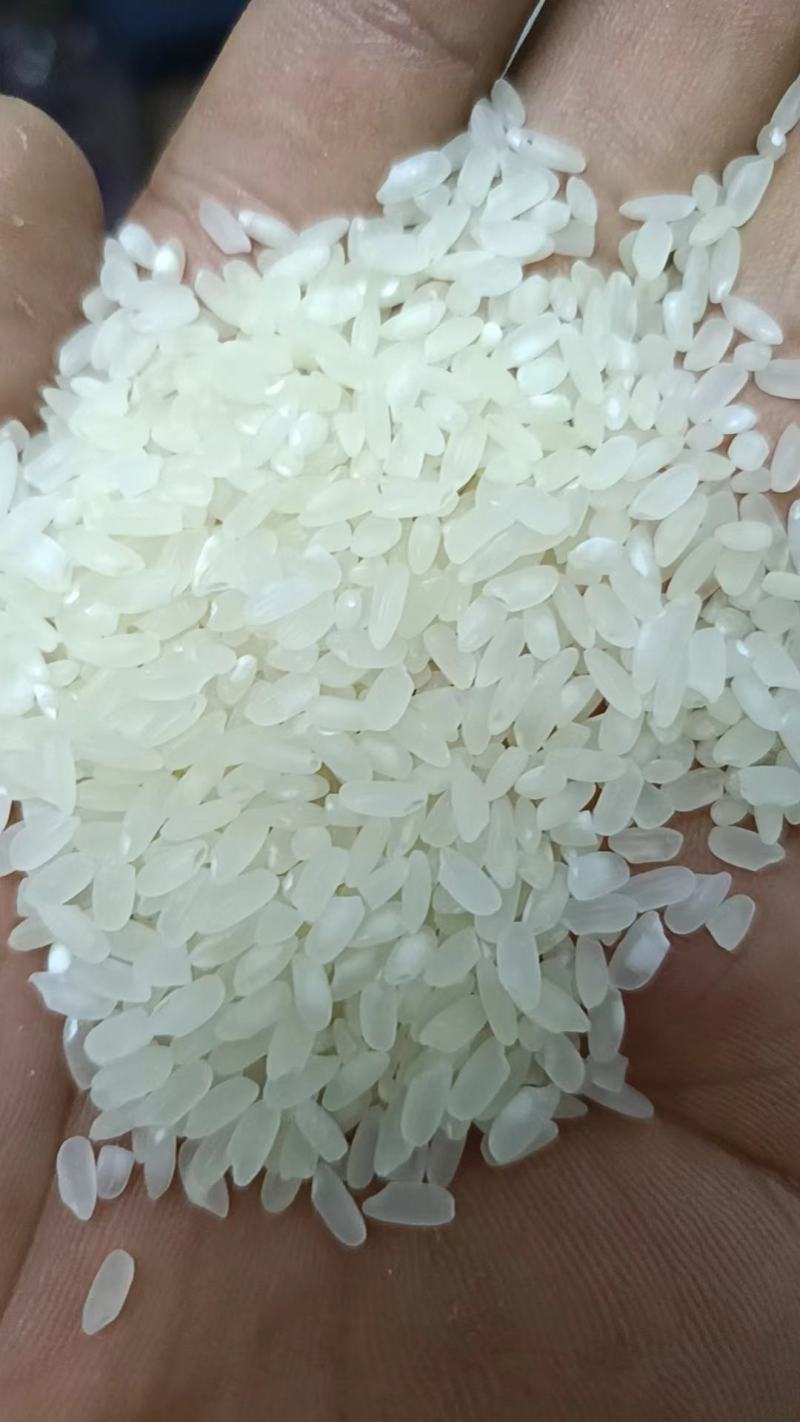 大米批发