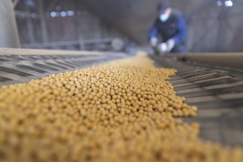 粮食收购现况：行业动态与发展趋势