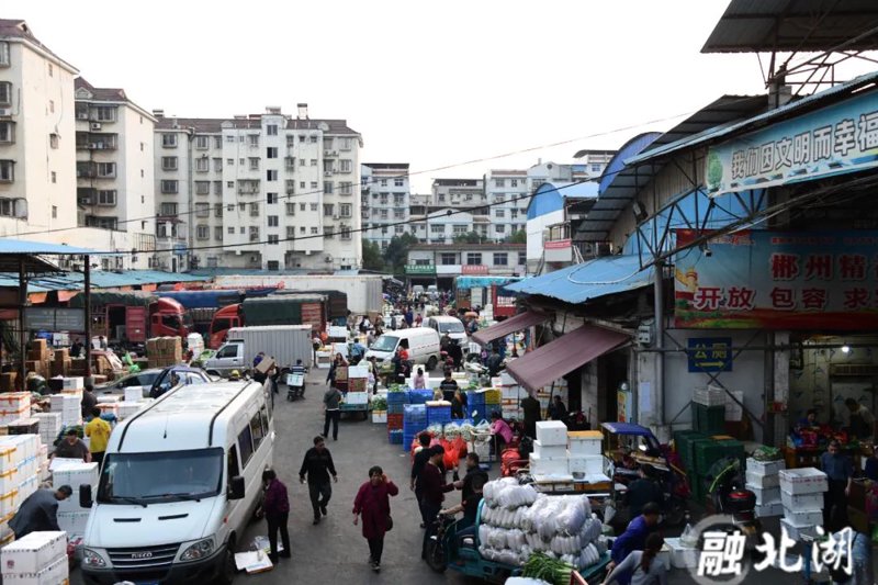 收购风向：粮食市场迎来多变局面